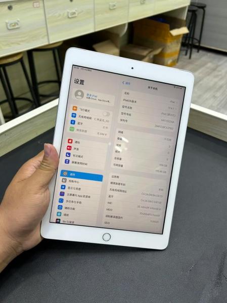 ipad型号a1893是什么意思?