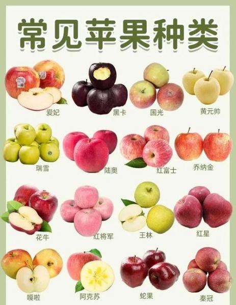 近来比较好的苹果品种排名