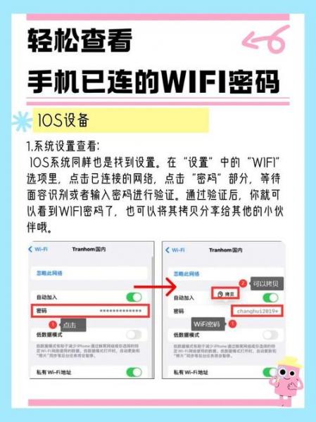 怎样知道wifi密码