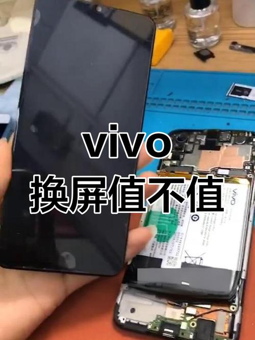 vivo手机换屏幕多少钱