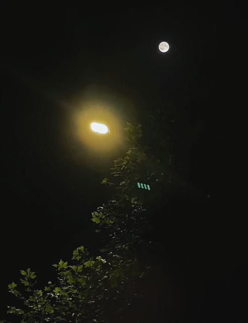 苹果14怎么拍月亮