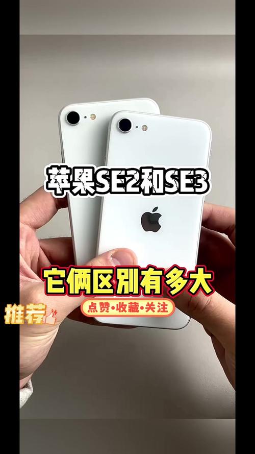 苹果se2和se是否一样的