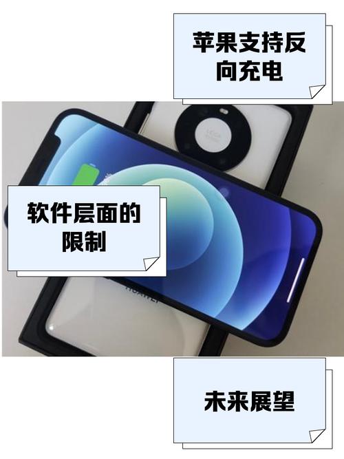 苹果x反向充电在哪里找