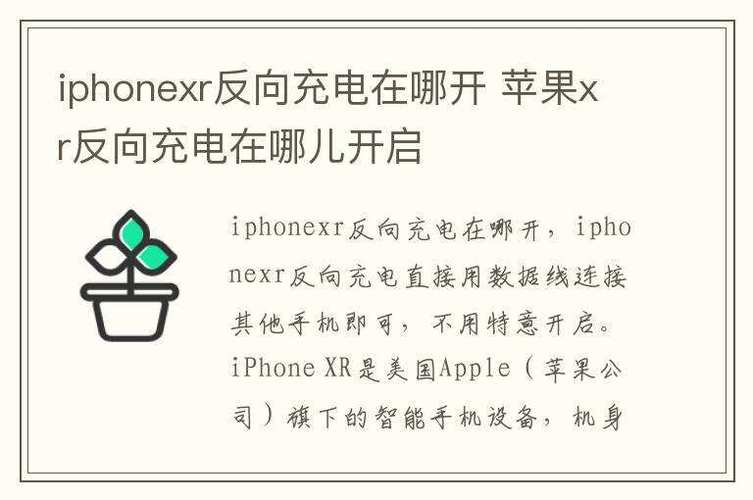 苹果x可以无线反向充电吗