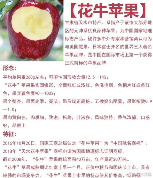花牛苹果几月成熟上市,甘肃天水苹果成熟时间与季节