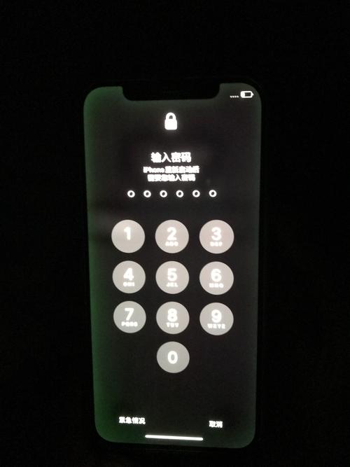 苹果12绿屏是什么意思